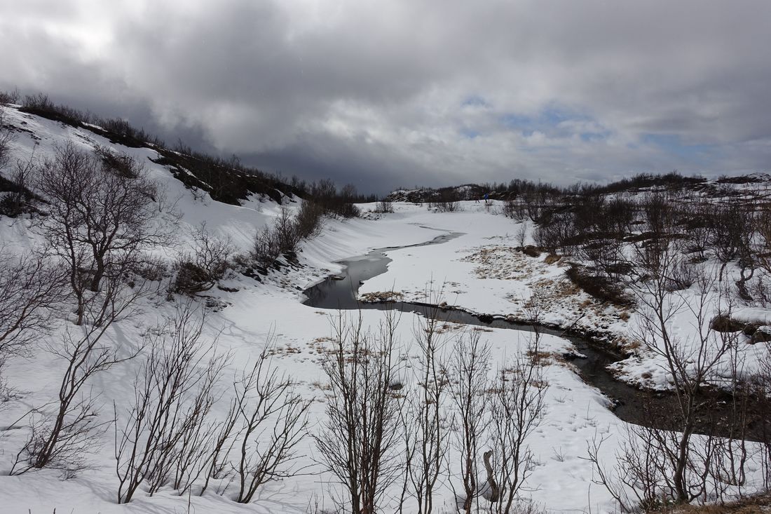 Small creek halfway up Keiservarden. (2015:04:03)