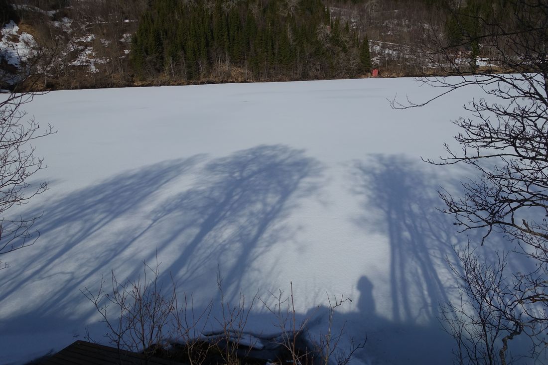 Shadow play. (2015:04:11)