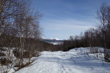 Path towards Solöyvatnet, a short walk from my workplace. (2015:04:11)