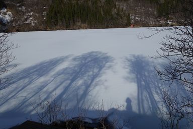 Shadow play. (2015:04:11)