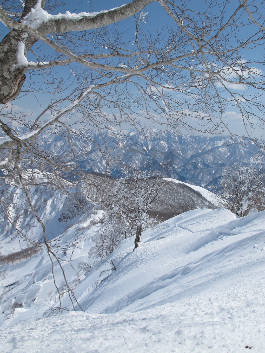 Hakuba Cortina backcountry. (2014:03:23)