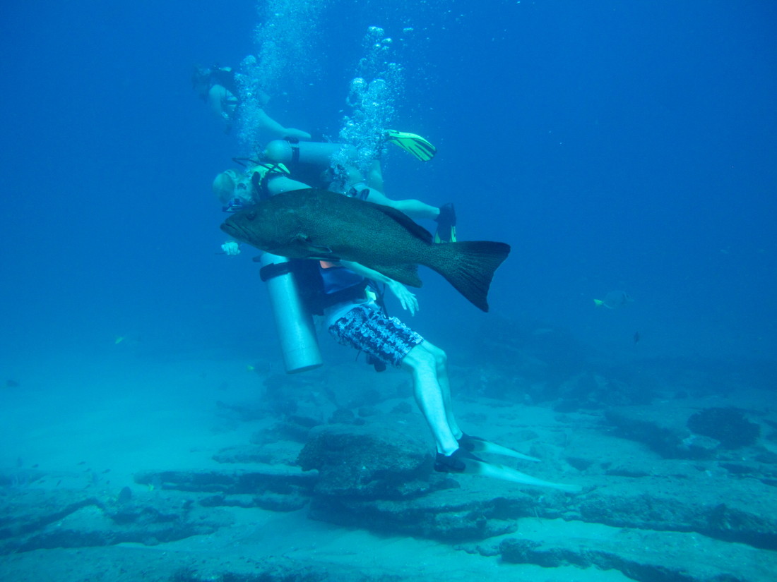 Meixco diving at Cabo Pulma nature reserve close to La Paz. Brothers and fish. (2011:10:15)