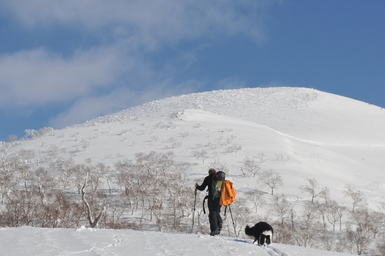 Hokkaido skiing in the January heat. (2013:01:23)