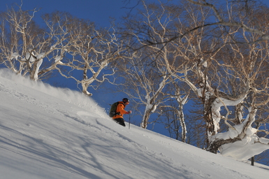 Hokkaido skiing in the January heat. (2013:01:23)