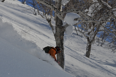 Hokkaido skiing in January heat. (2013:01:23)