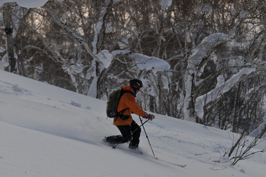 Hokkaido skiing in the January heat. (2013:01:23)