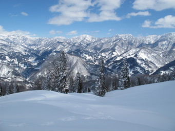 Hakuba Cortina backcountry. (2014:03:22)