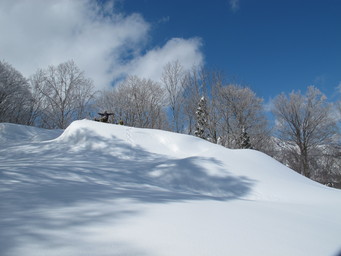 Lunch in the Hakuba Cortina backcountry. (2014:03:22)