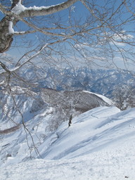 Hakuba Cortina backcountry. (2014:03:23)