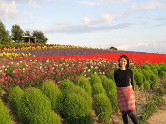 Hokkaido summer. Flower fields. (2011:08:21)