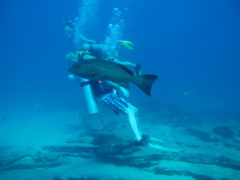 Meixco diving at Cabo Pulma nature reserve close to La Paz. Brothers and fish. (2011:10:15)