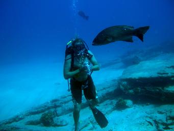 The fish whisperer. ()