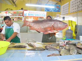 Mexico, market in La Paz. Great fish. (2011:10:13)