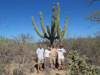 Mexico, Cactus! On the way to Cabo Pulma. (2011:10:15)