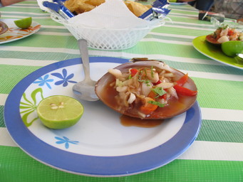 Mexico, Cabo Pulma. On the way to Cabo San Lucas. (2011:10:17)