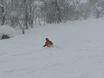 Niseko, powder at last. (2012:02:04)