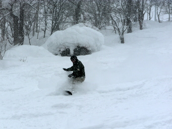 Okada-san in Niseko. (2012:02:04)
