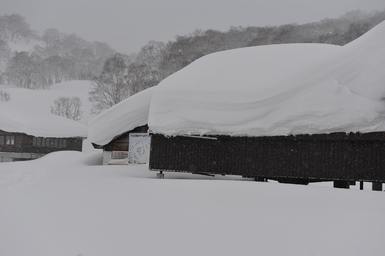 Chisenopurri. (2014:01:09)