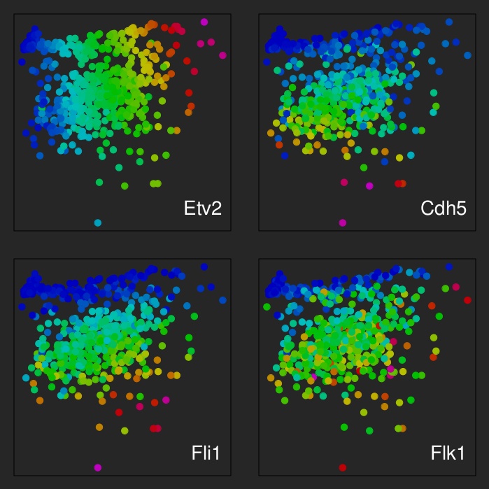 MDS plots of transcriptional identities of 587 cells