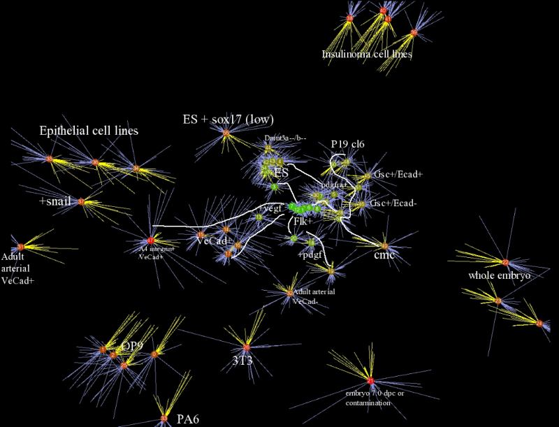 Cell Map