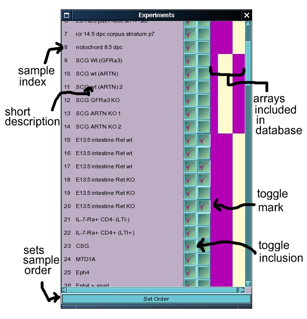 Experiment Choice Window
