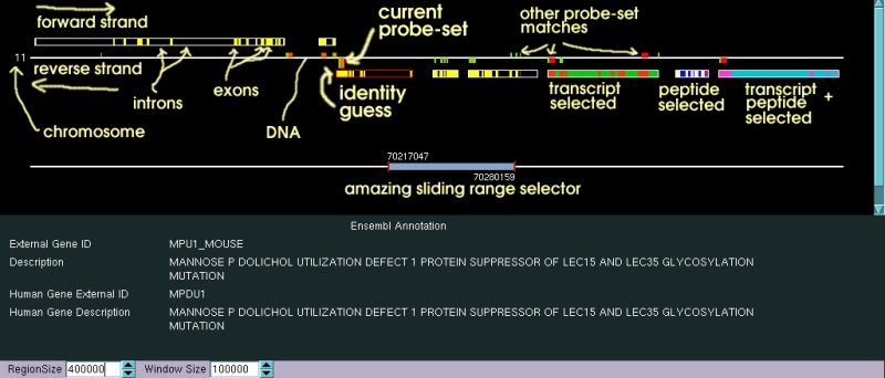 Genomic Alignments