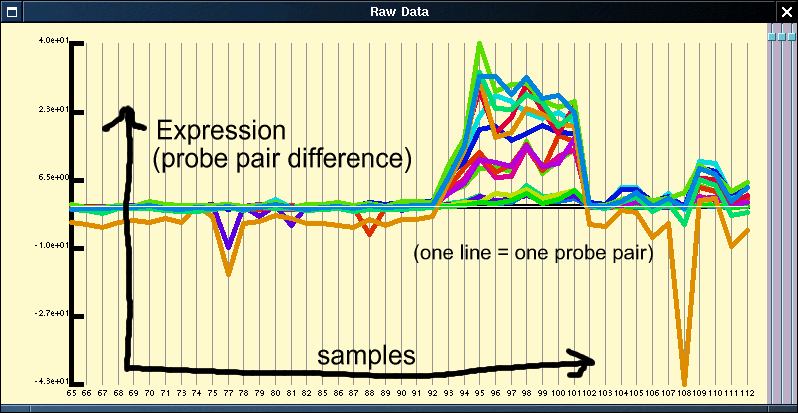 raw probe pair differences