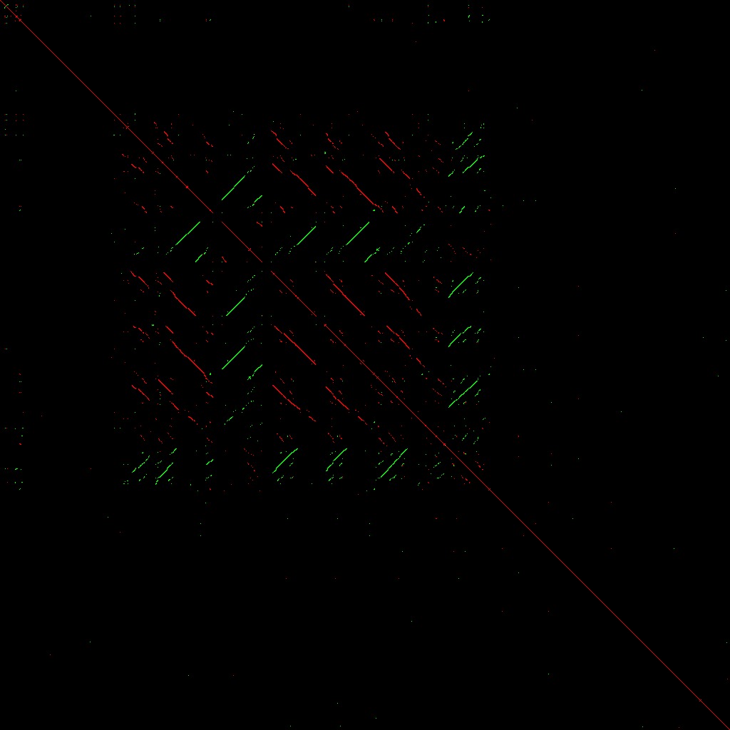 Direct and inverted repeats at the mouse Rex2 locus